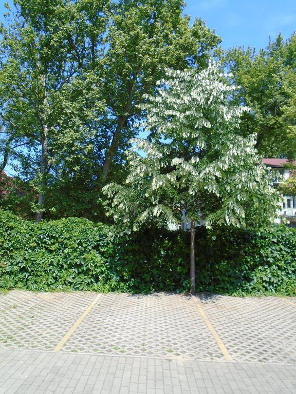 Sunny Apartman シオーフォク エクステリア 写真